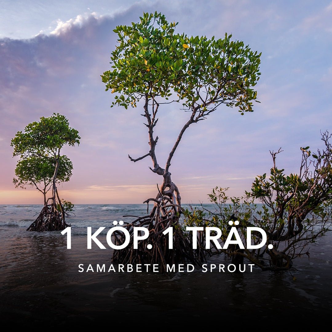 Plantera ett träd för varje köp du gör! - Roar Sweden