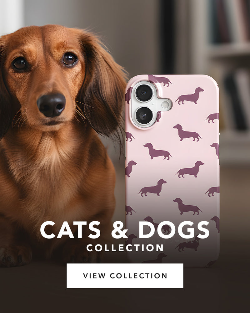 Cats & Dogs - Collection