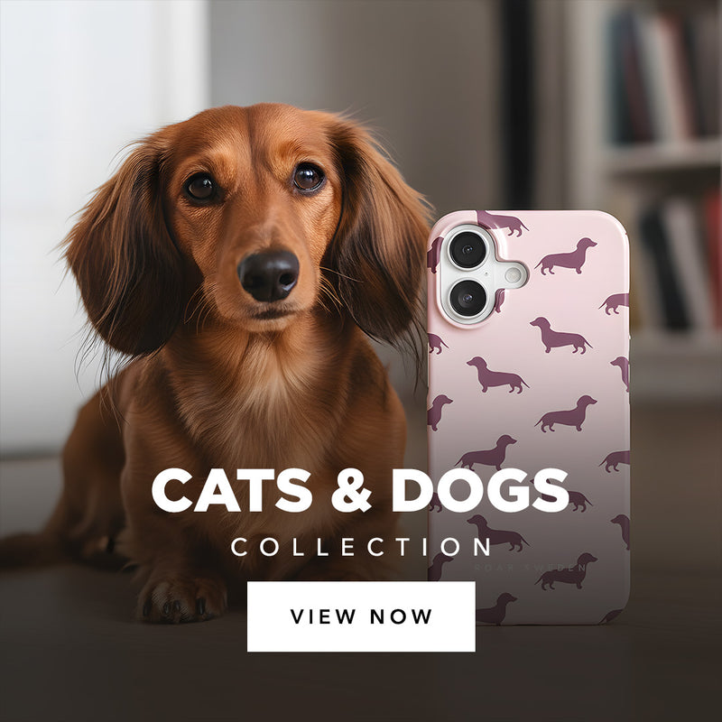 Cats & Dogs - Collection